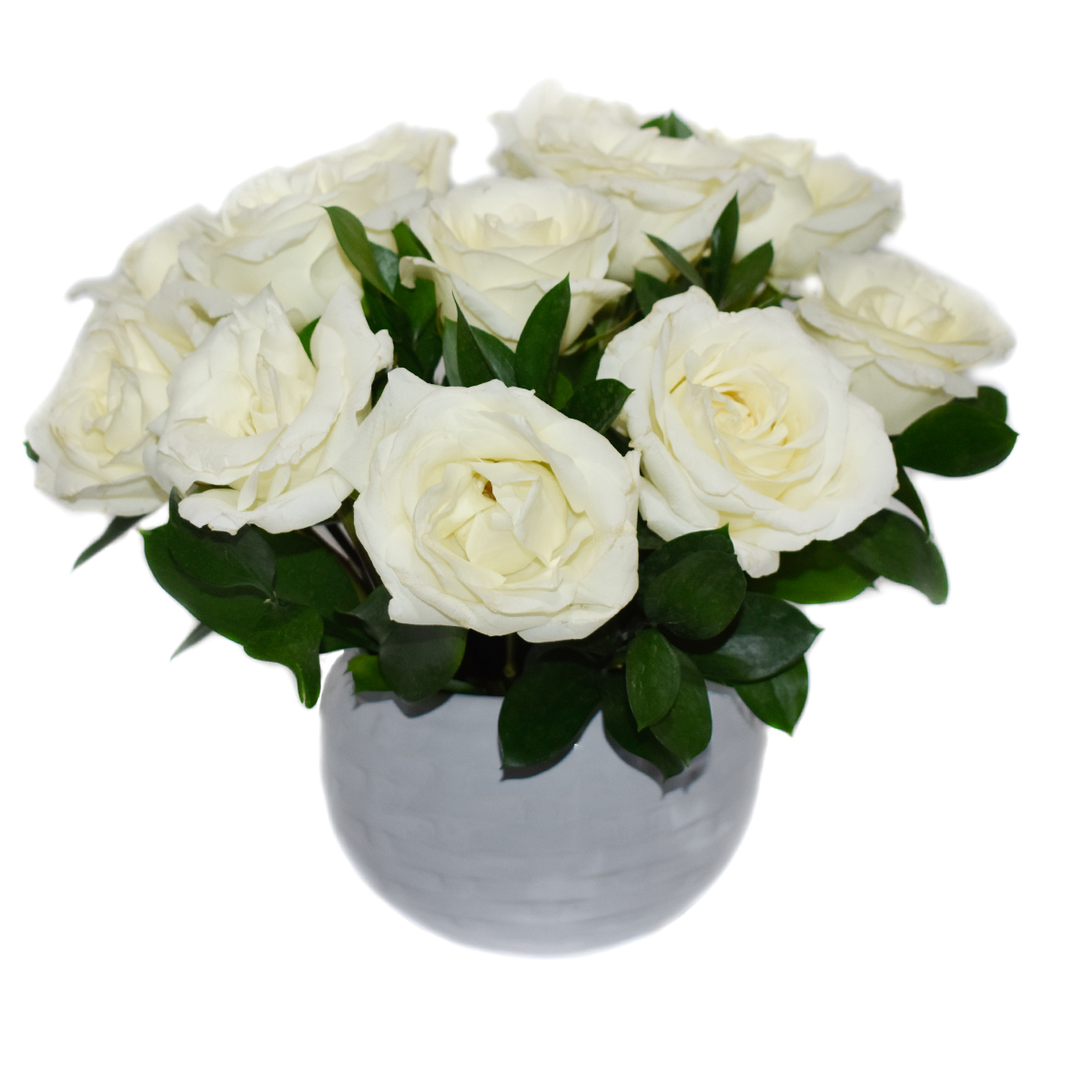 12 rosas blancas
