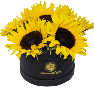 Caja de girasoles