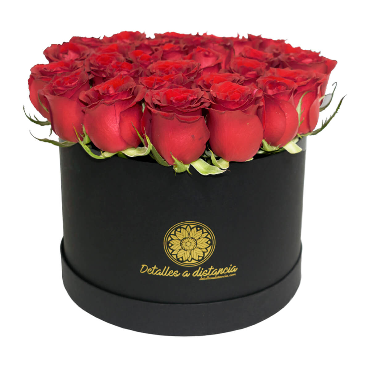 30 rosas en caja redonda - Detalles a distancia | Envía 30 rosas