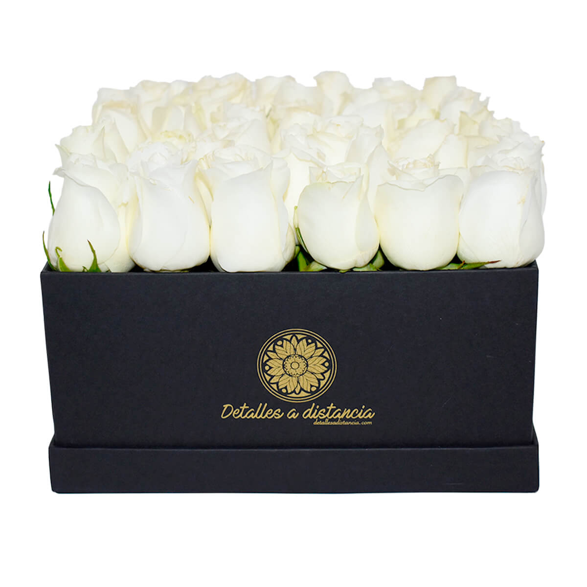Rosas blancas en caja