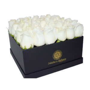 Rosas blancas en caja