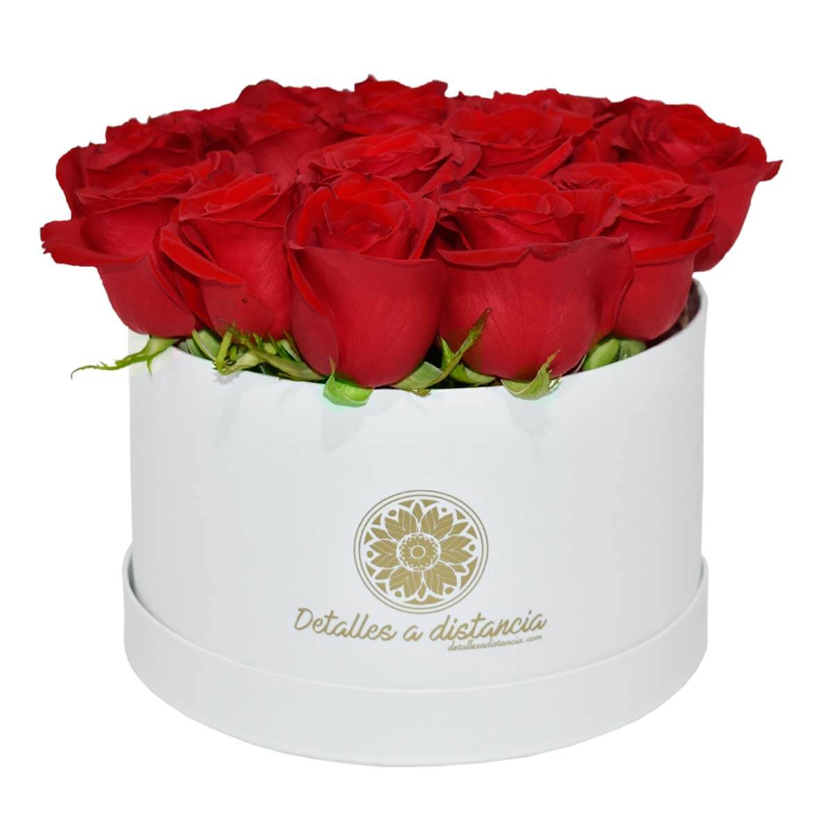 30 rosas en caja blanca