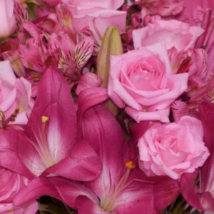 Rosas con lilis