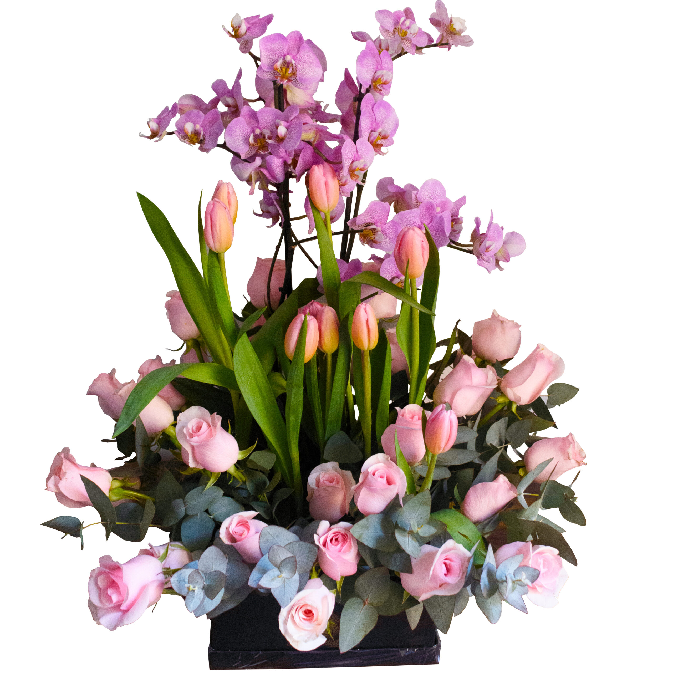 Orquídeas con Tulipanes