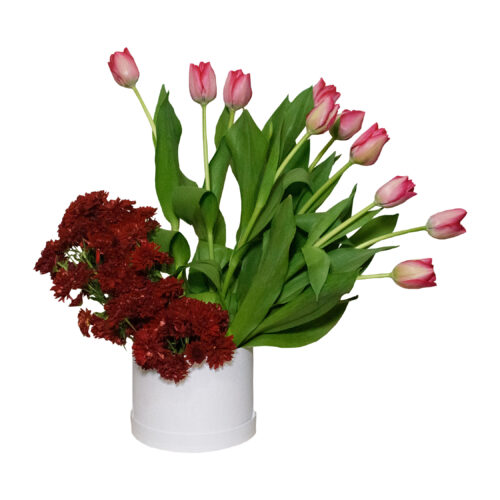 Tulipanes con brandy.